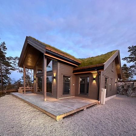 Modern Northern Lights Cabin Drangedal ภายนอก รูปภาพ