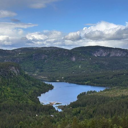 Modern Northern Lights Cabin Drangedal ภายนอก รูปภาพ