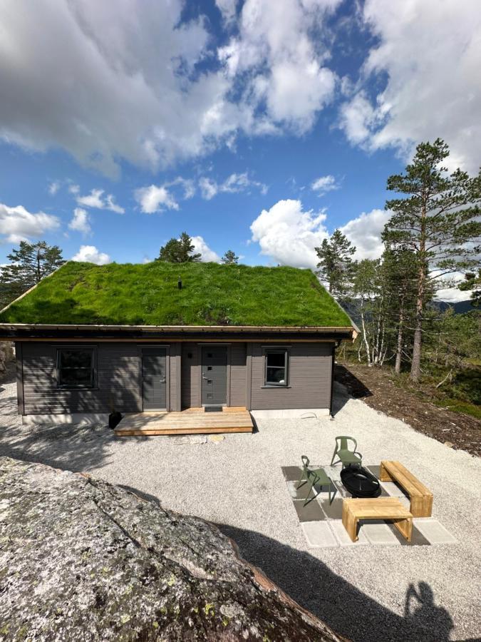 Modern Northern Lights Cabin Drangedal ภายนอก รูปภาพ
