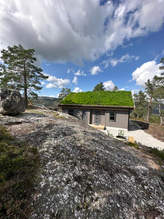 Modern Northern Lights Cabin Drangedal ภายนอก รูปภาพ