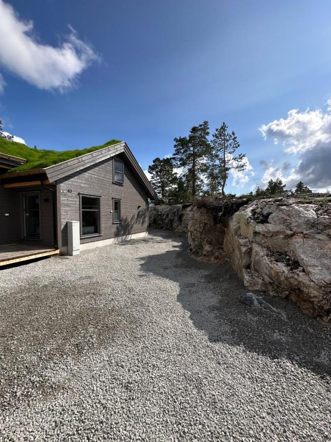 Modern Northern Lights Cabin Drangedal ภายนอก รูปภาพ