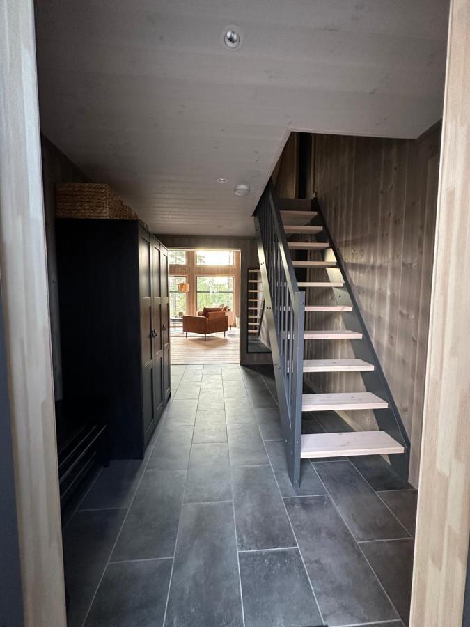 Modern Northern Lights Cabin Drangedal ภายนอก รูปภาพ