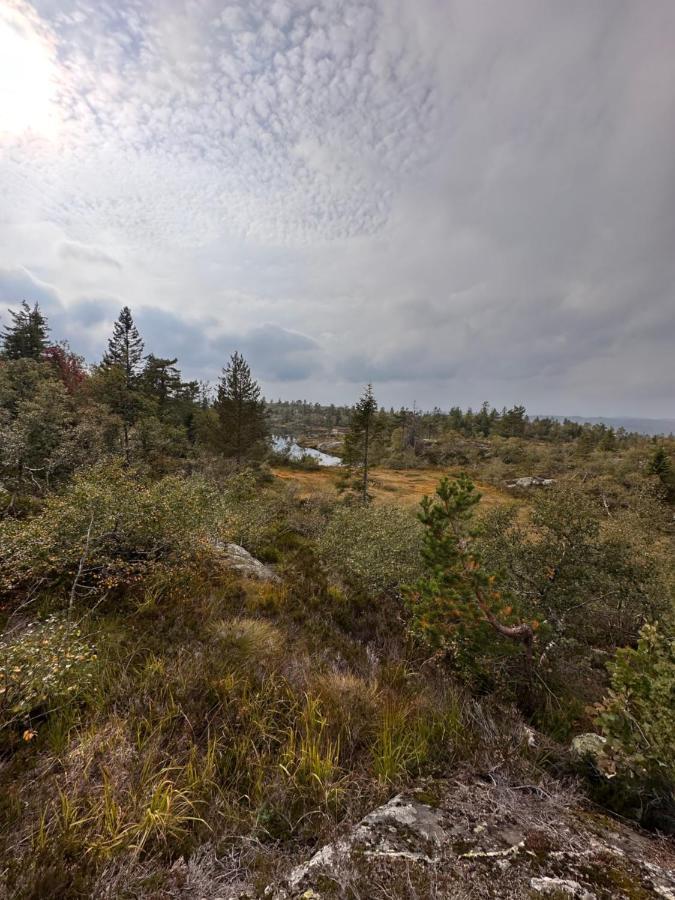 Modern Northern Lights Cabin Drangedal ภายนอก รูปภาพ