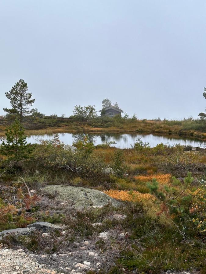 Modern Northern Lights Cabin Drangedal ภายนอก รูปภาพ