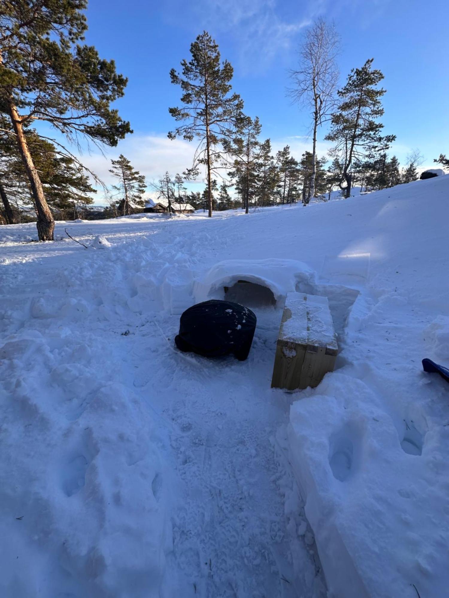 Modern Northern Lights Cabin Drangedal ภายนอก รูปภาพ