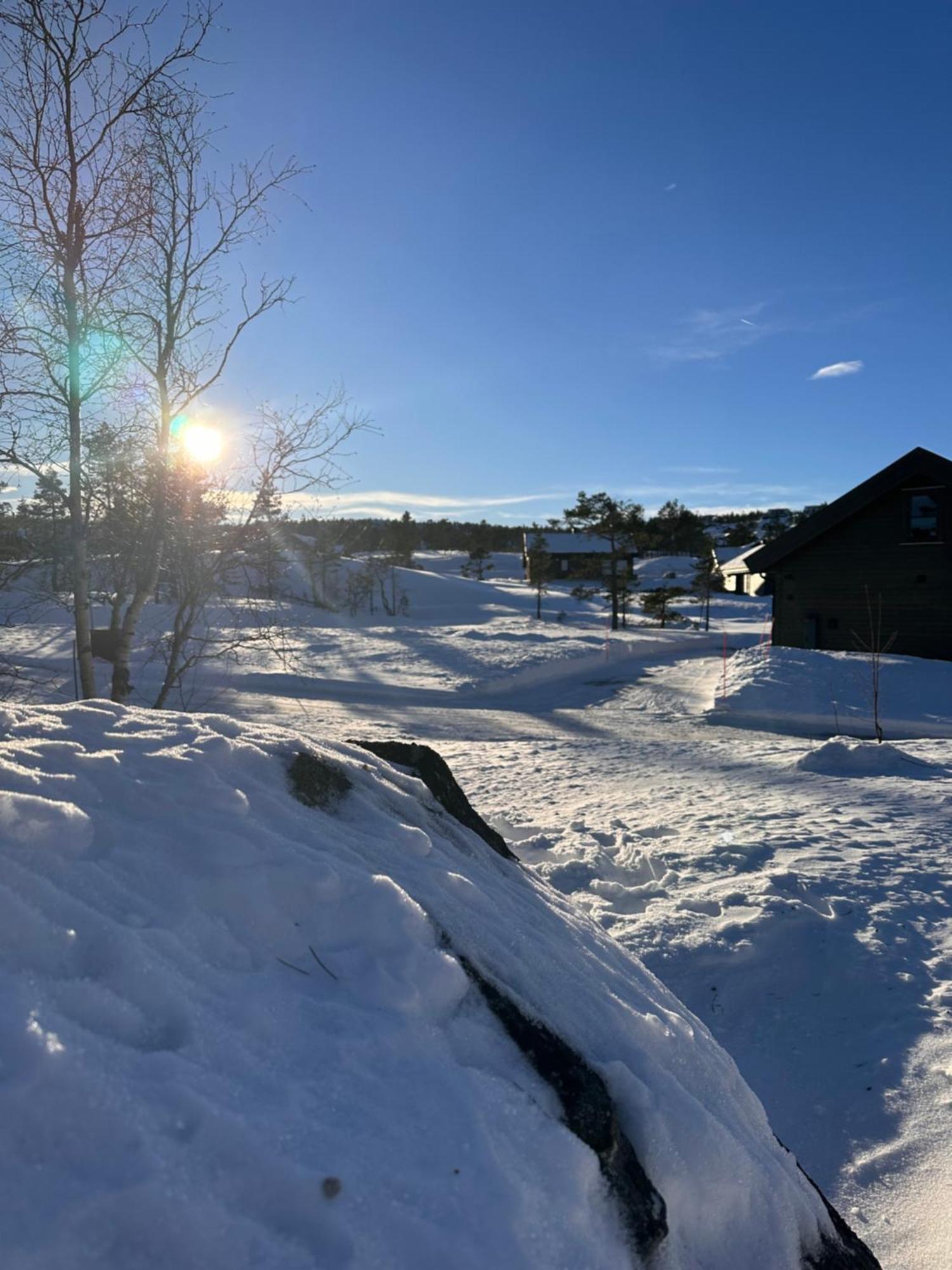 Modern Northern Lights Cabin Drangedal ภายนอก รูปภาพ