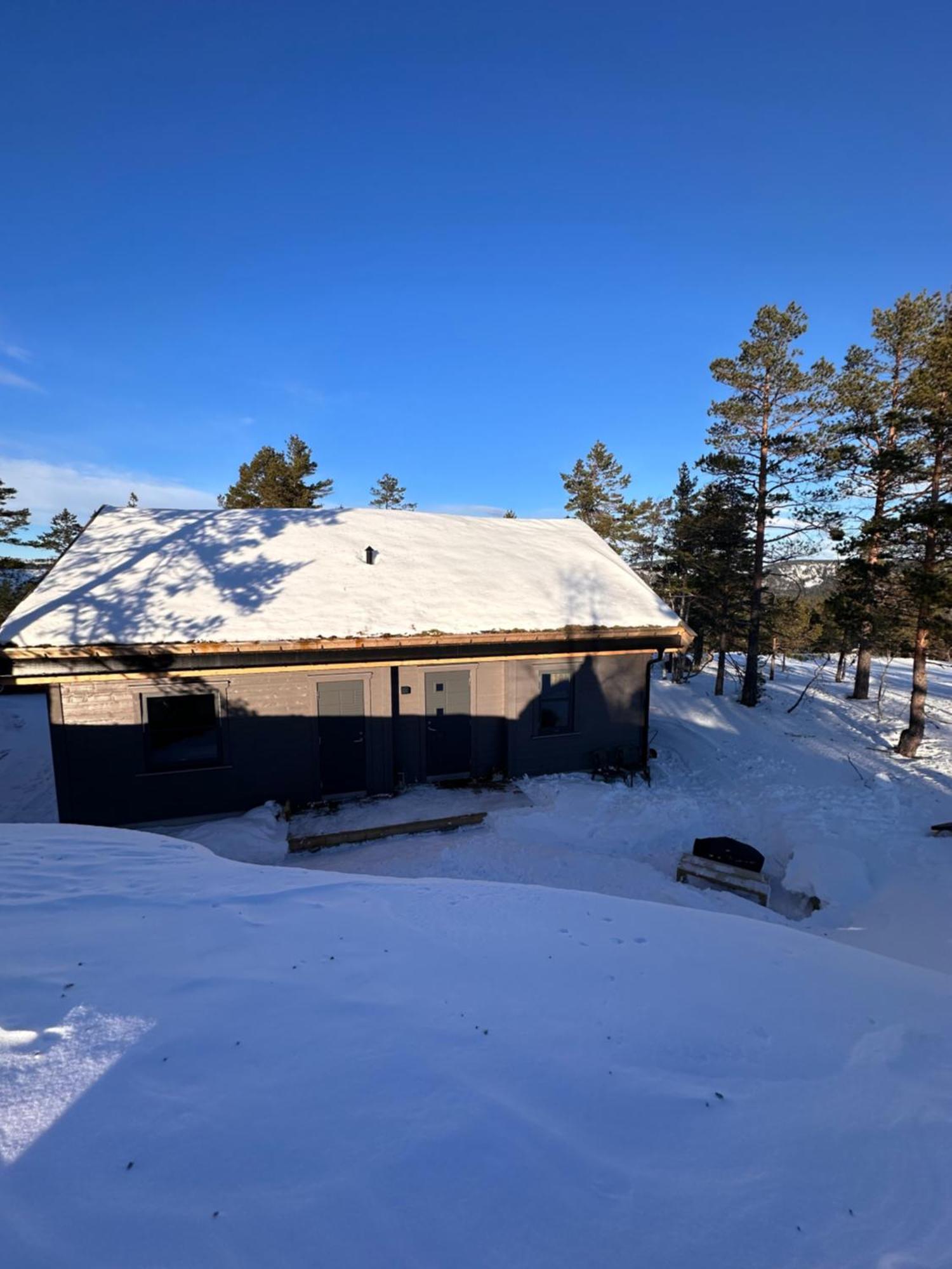 Modern Northern Lights Cabin Drangedal ภายนอก รูปภาพ