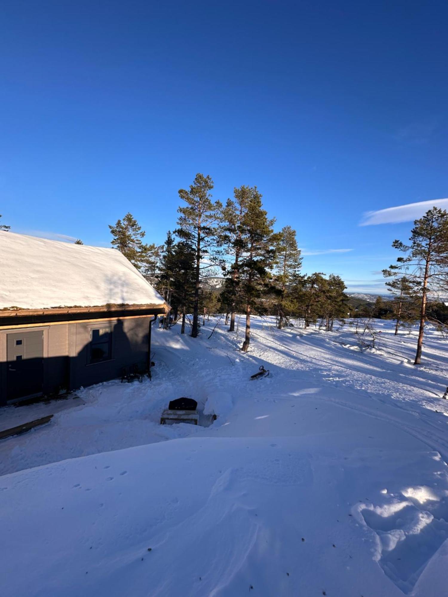 Modern Northern Lights Cabin Drangedal ภายนอก รูปภาพ