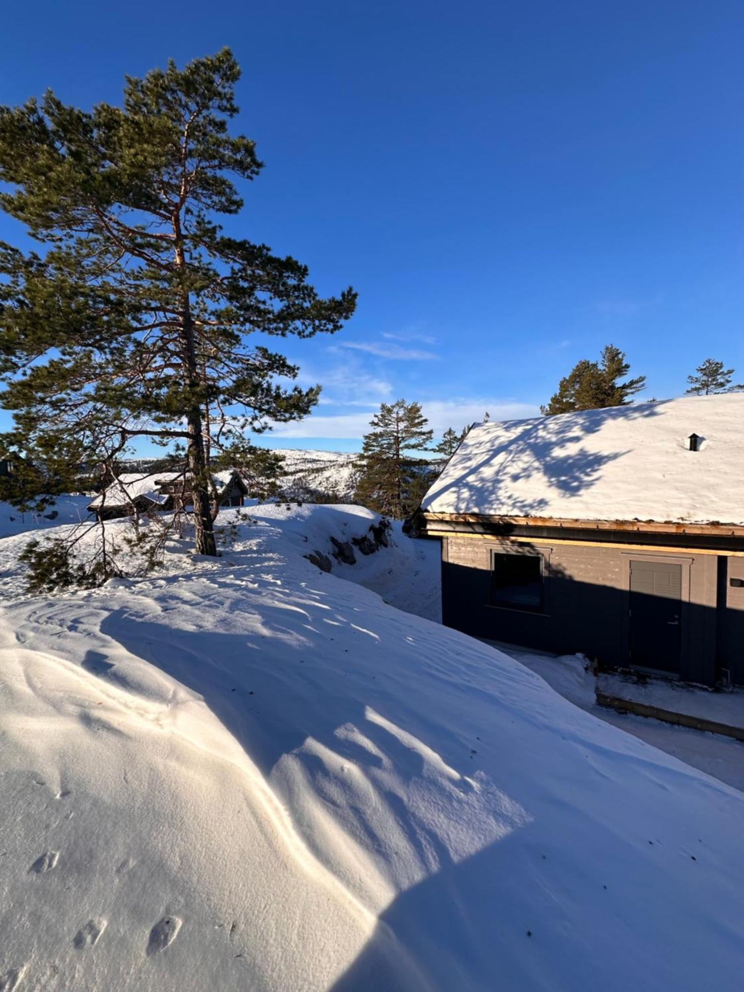 Modern Northern Lights Cabin Drangedal ภายนอก รูปภาพ