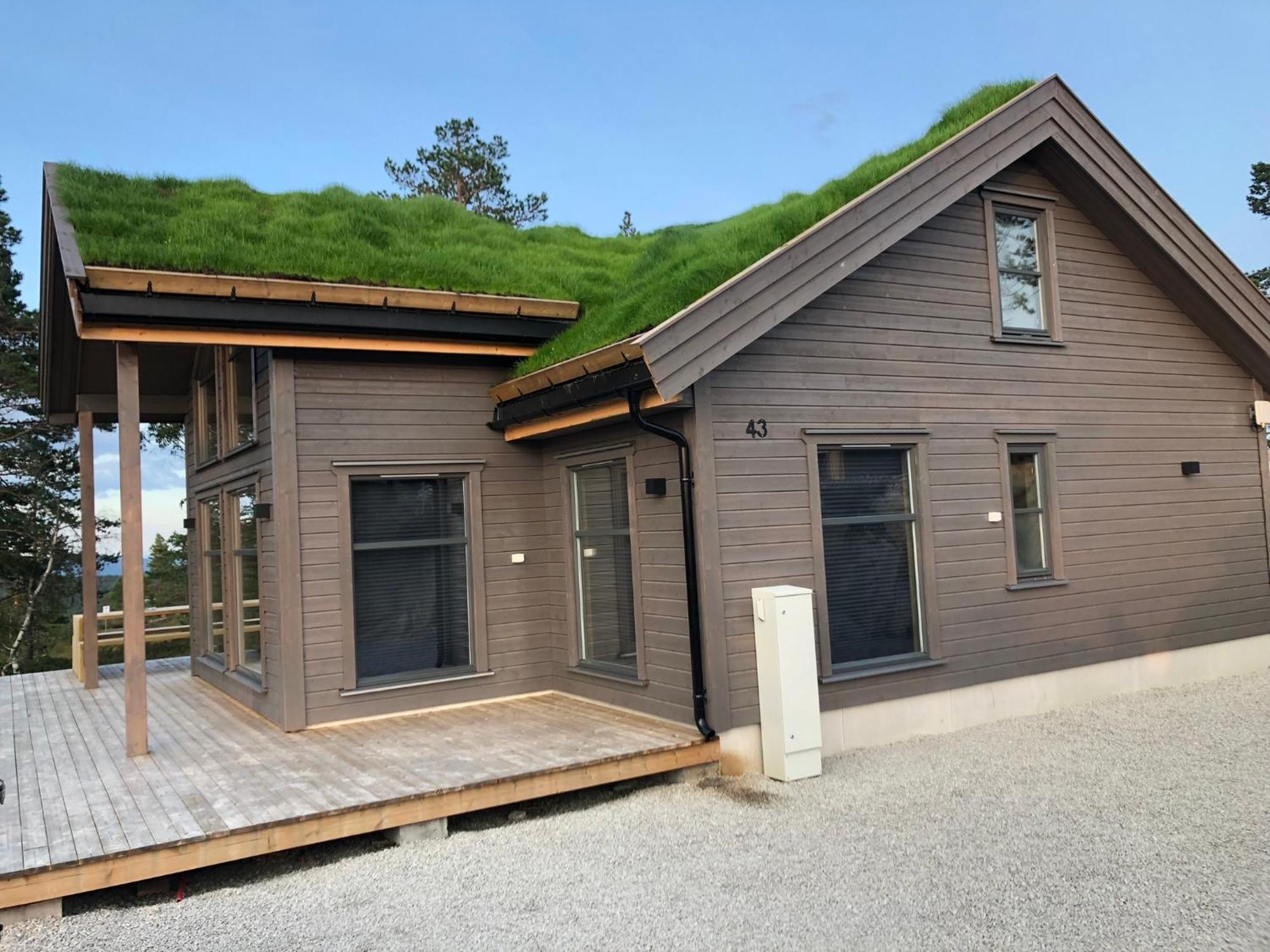 Modern Northern Lights Cabin Drangedal ภายนอก รูปภาพ