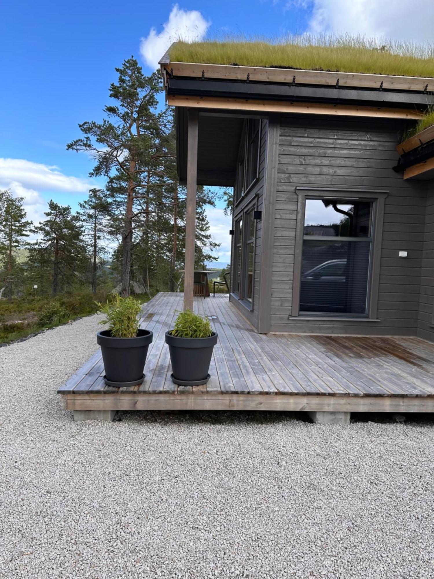 Modern Northern Lights Cabin Drangedal ภายนอก รูปภาพ