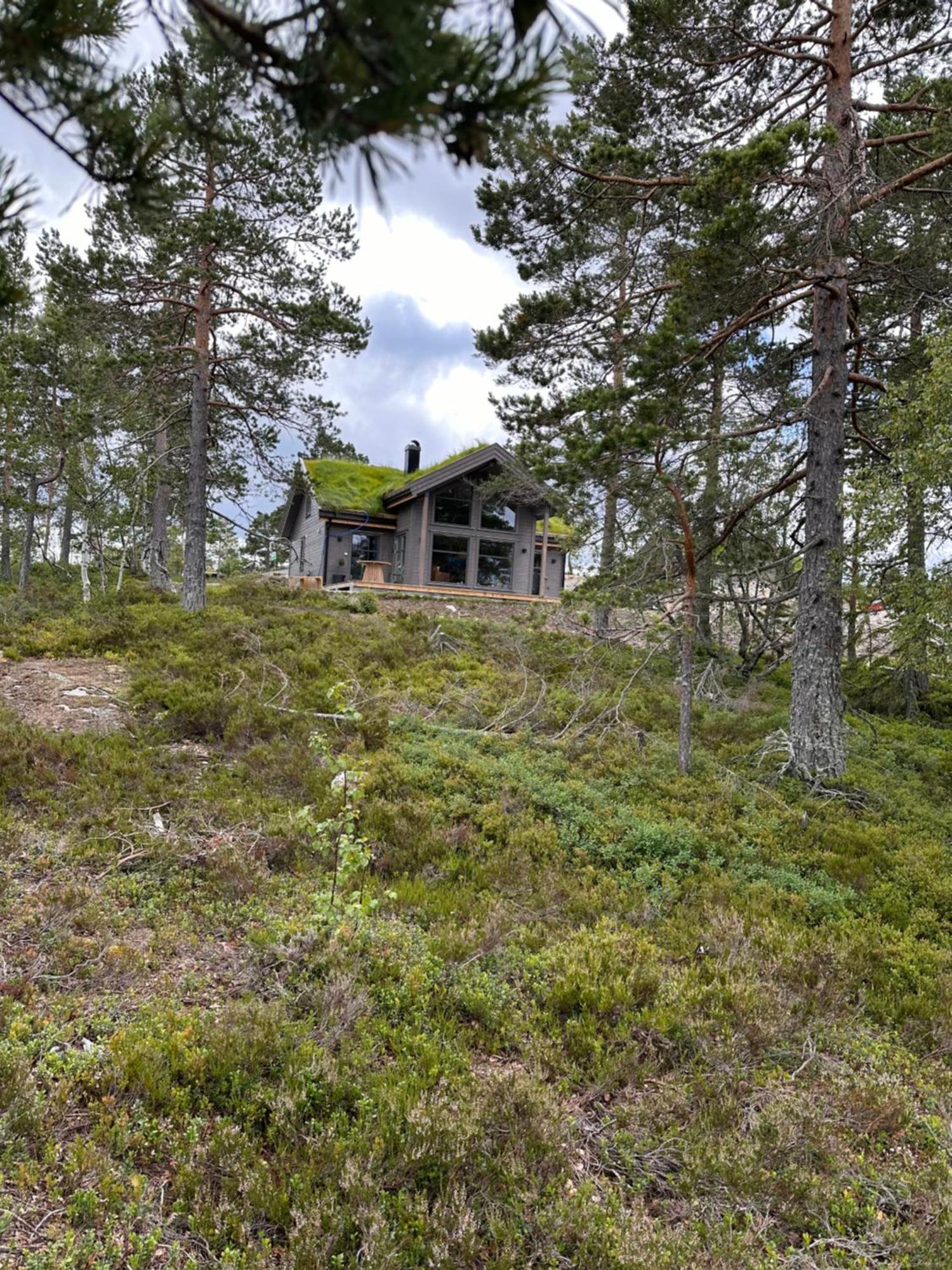 Modern Northern Lights Cabin Drangedal ภายนอก รูปภาพ