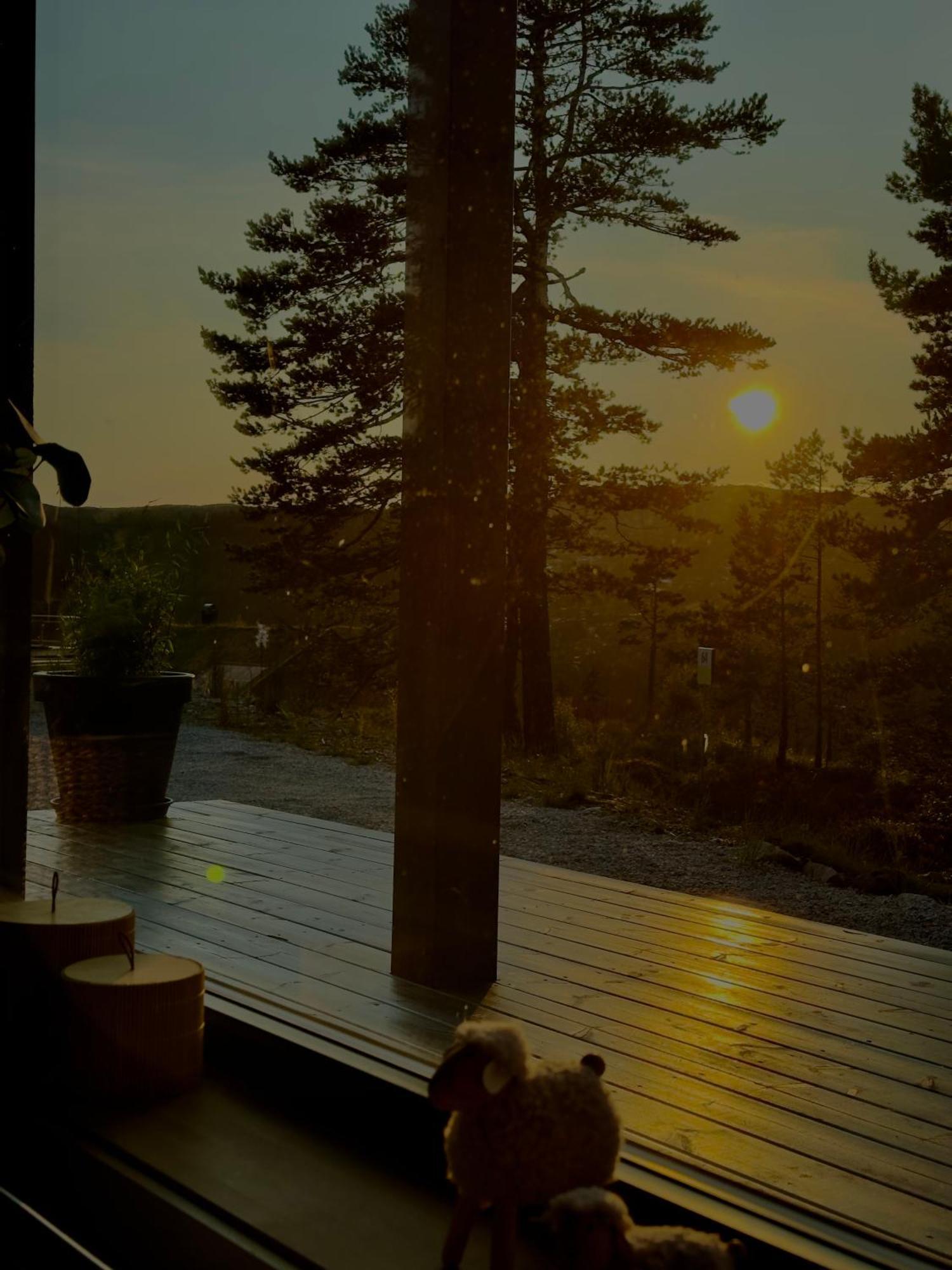 Modern Northern Lights Cabin Drangedal ภายนอก รูปภาพ