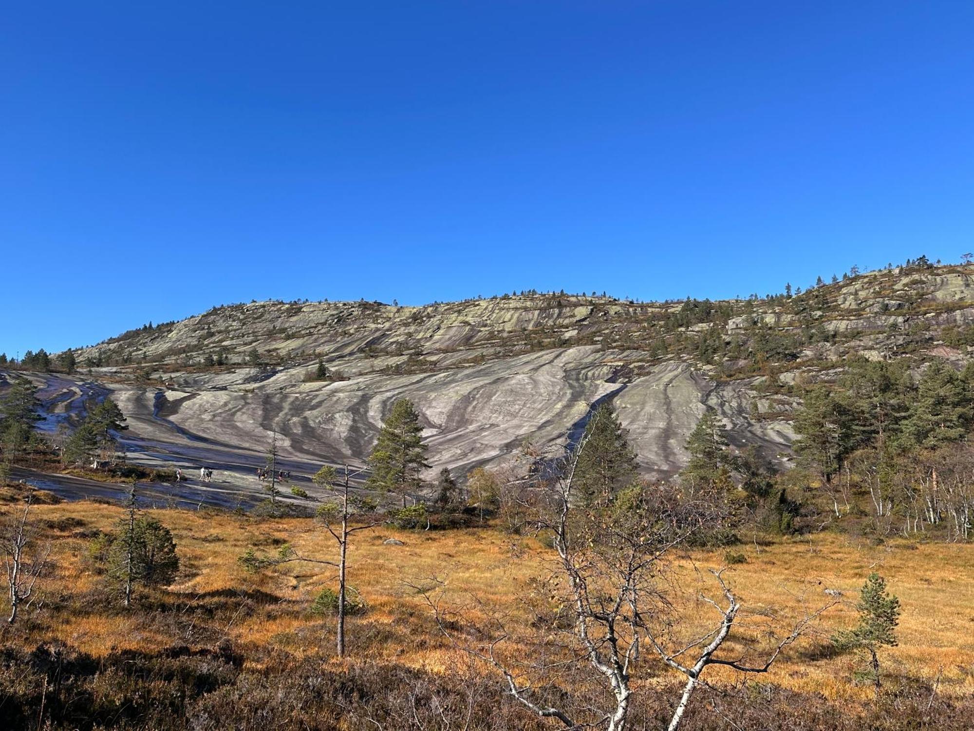 Modern Northern Lights Cabin Drangedal ภายนอก รูปภาพ