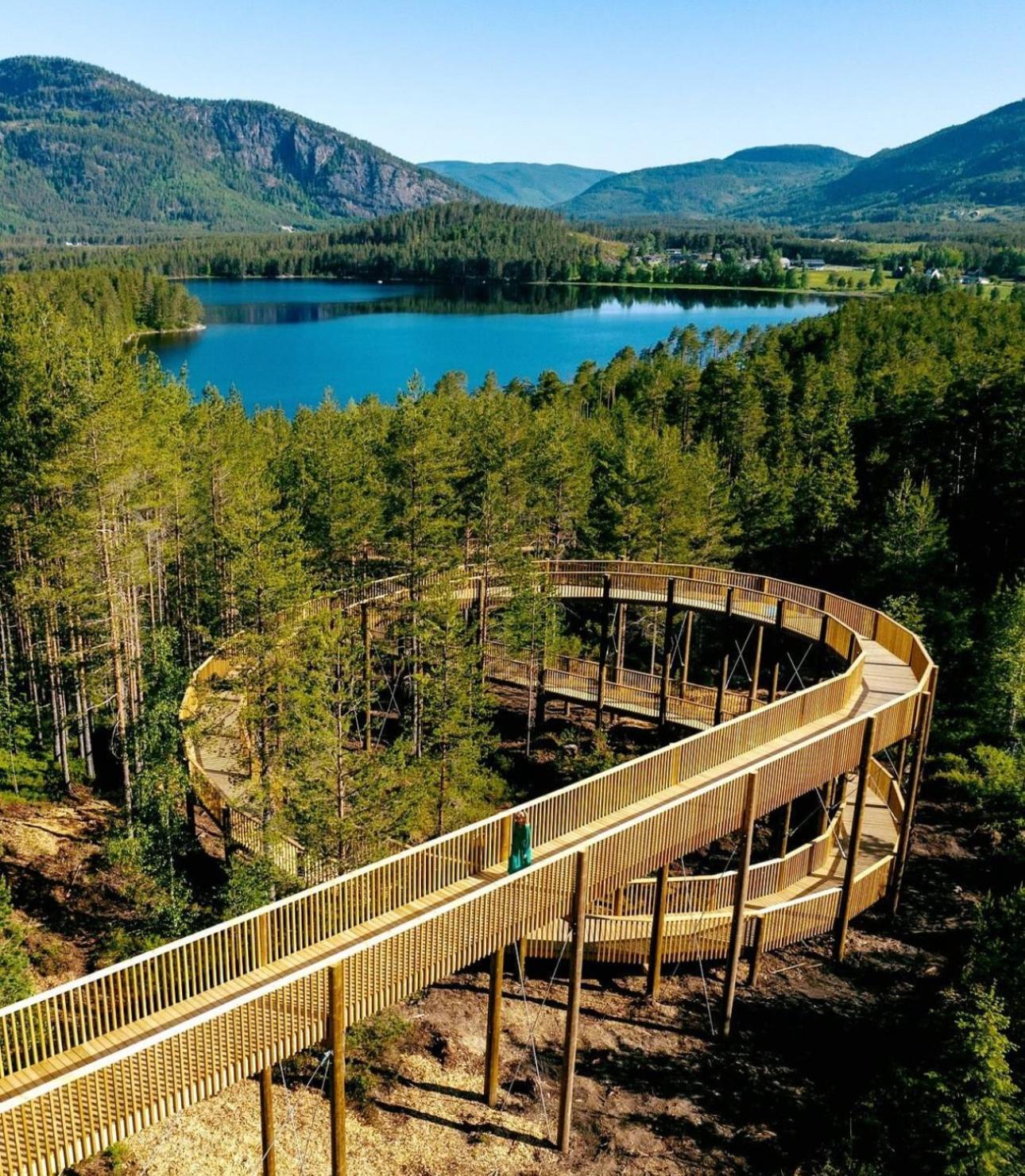 Modern Northern Lights Cabin Drangedal ภายนอก รูปภาพ